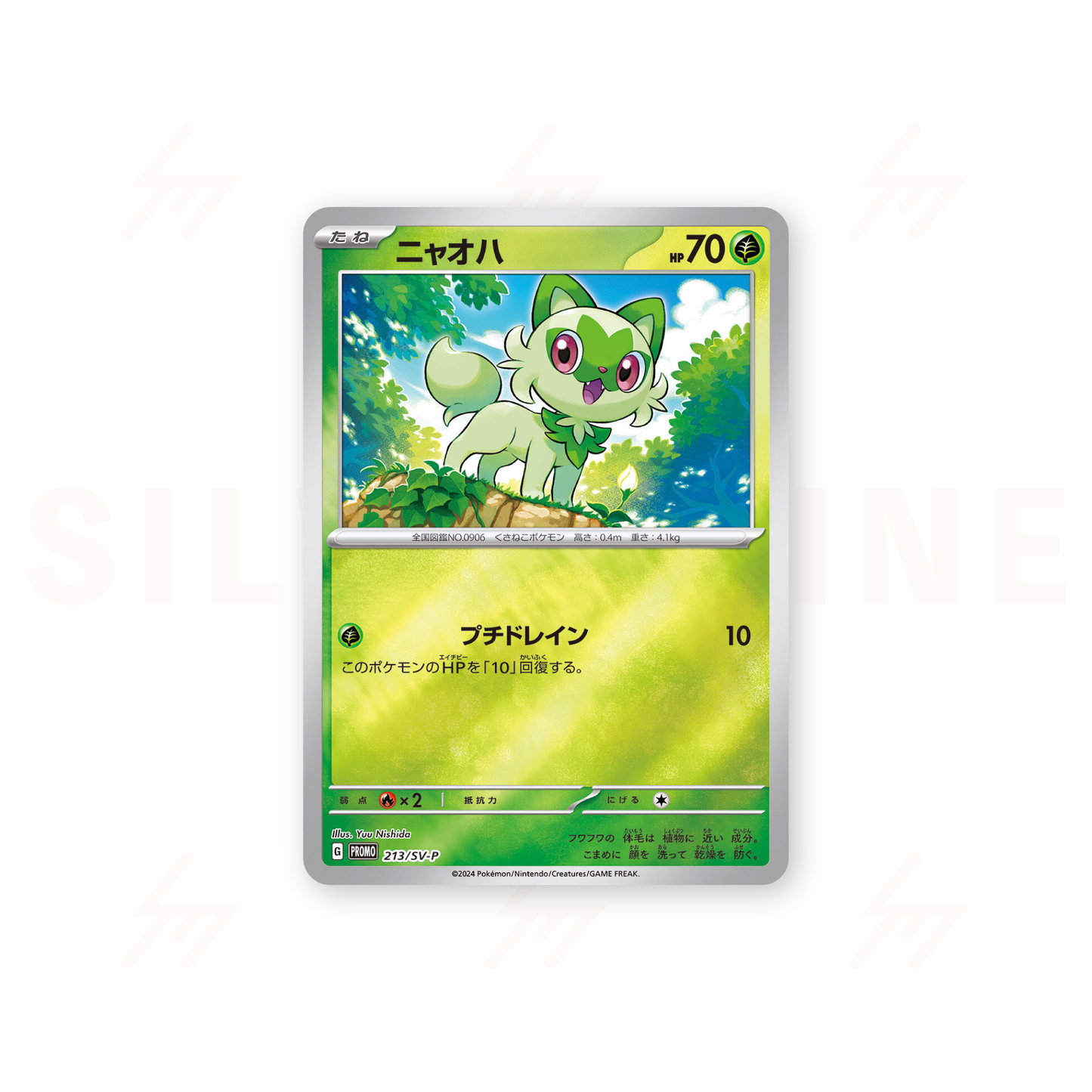 Pokemon TCG - Pokemon Card Game Campaign - Pokemon Card Summer is Here! Get a Promo Card Campaign!