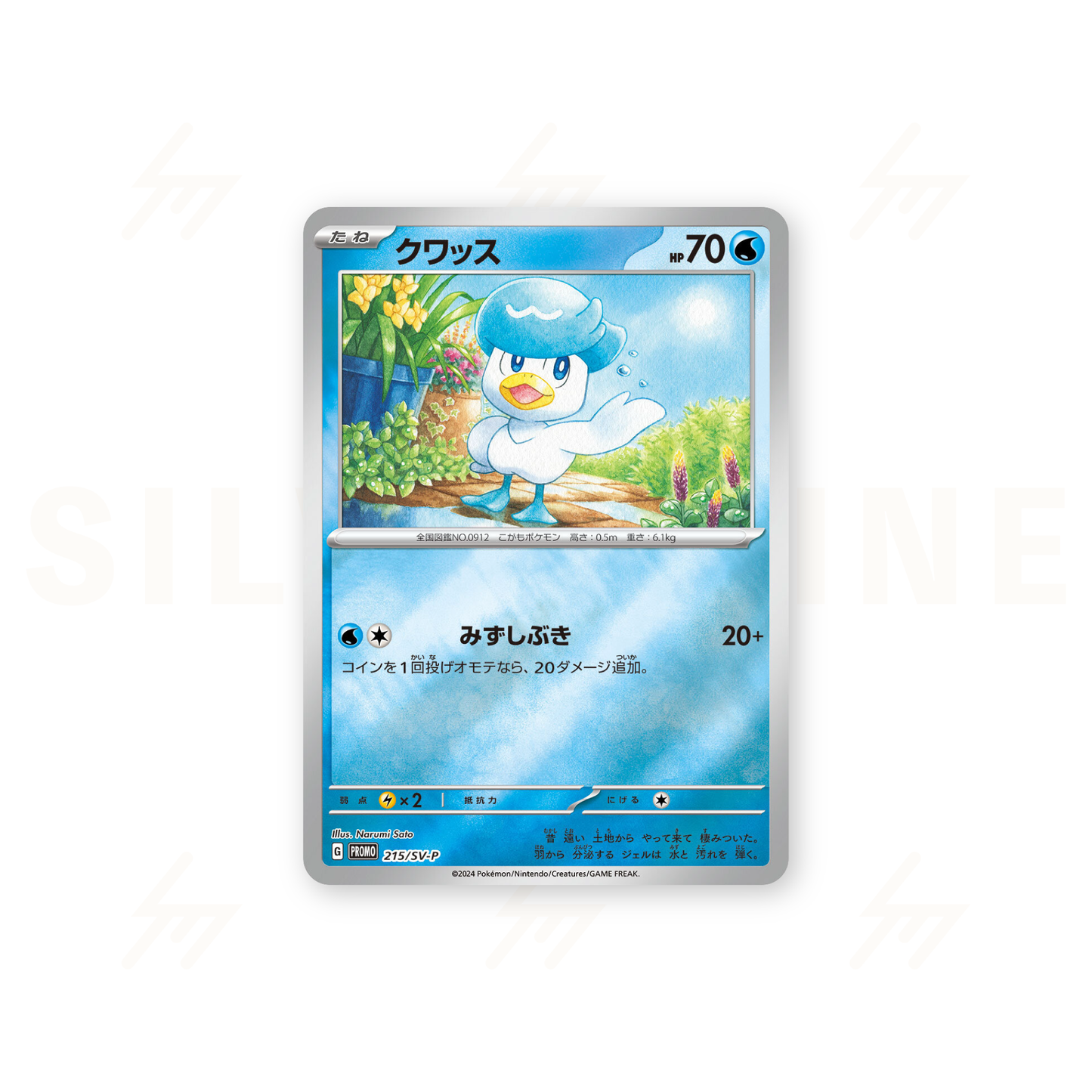 Pokemon TCG - Pokemon Card Game Campaign - Pokemon Card Summer is Here! Get a Promo Card Campaign!